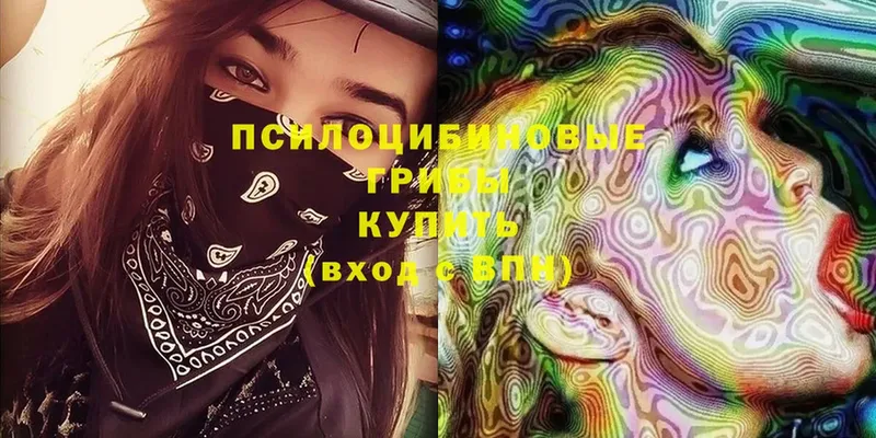 Псилоцибиновые грибы Magic Shrooms  Георгиевск 